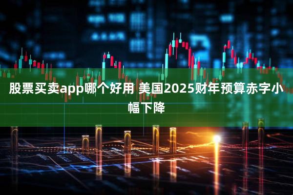 股票买卖app哪个好用 美国2025财年预算赤字小幅下降